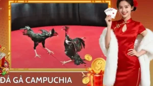 Đá Gà Campuchia Ball88 – Trải Nghiệm Cá Cược Kịch Tính Chuẩn Quốc Tế